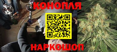 гашик Можайск