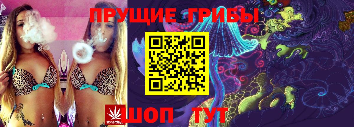 Галлюциногенные грибы MAGIC MUSHROOMS  Вход с VPN  Тавда 