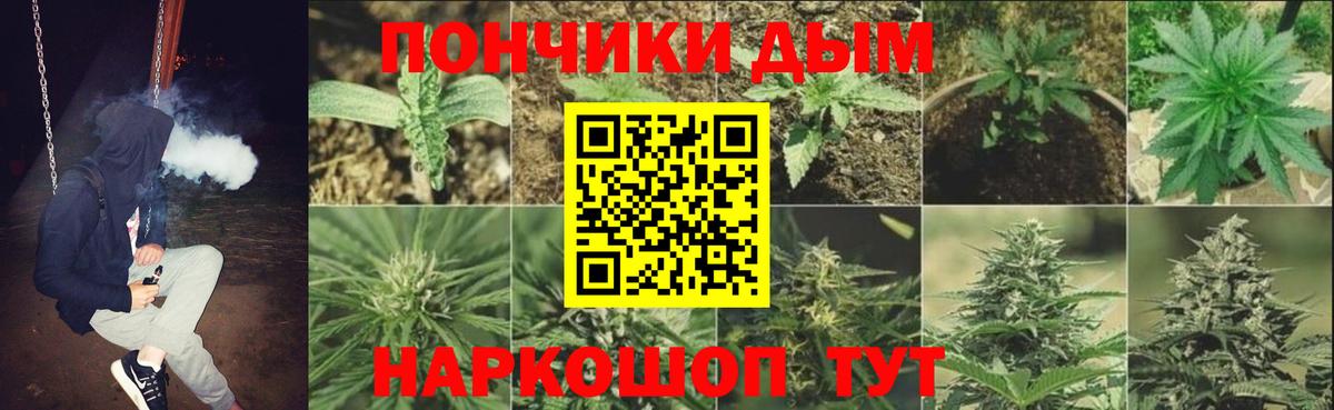 Бошки Шишки конопля Тавда
